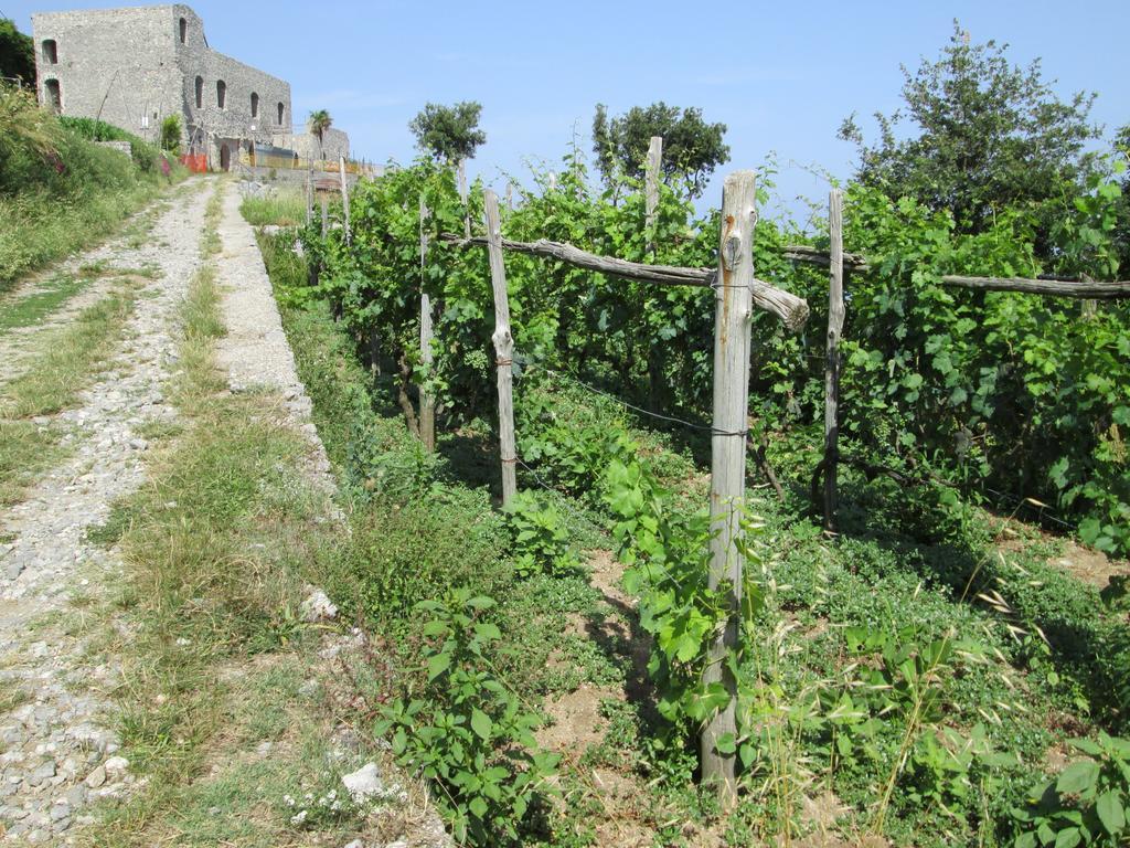 Ferienwohnung Mira Amalfi Agerola Exterior foto
